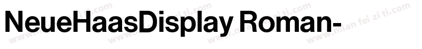 NeueHaasDisplay Roman字体转换
